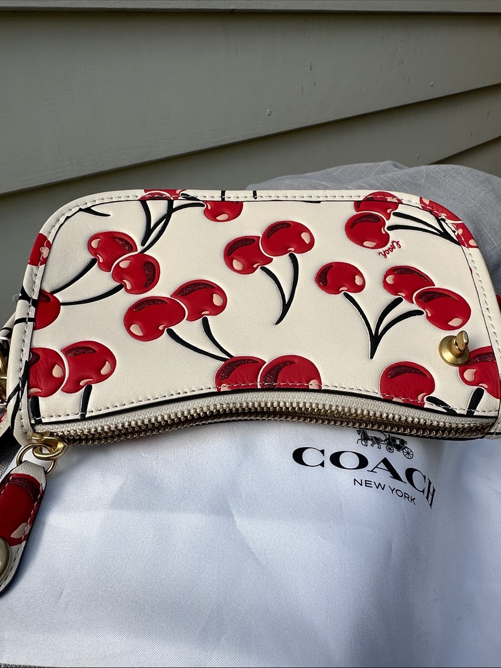 Coach Swinger 20 Shoulder Bag in Chalk Leather with Cherry Print - Picture 6 of 10